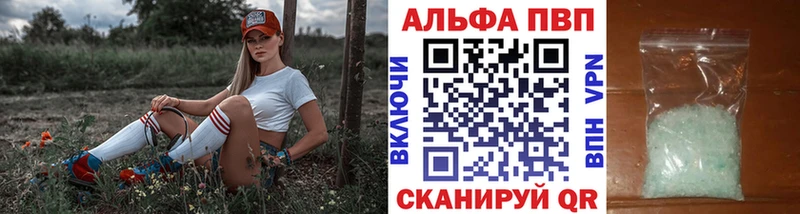 Альфа ПВП СК КРИС Судогда