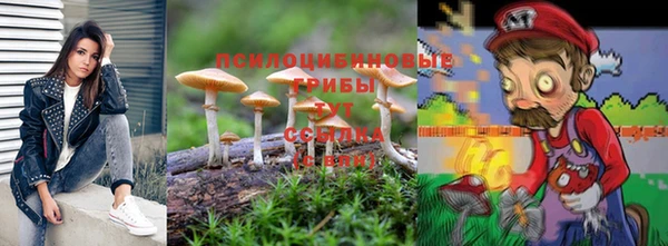 ПСИЛОЦИБИНОВЫЕ ГРИБЫ Алексин