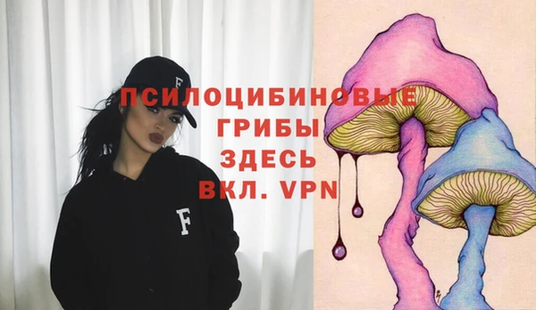 ПСИЛОЦИБИНОВЫЕ ГРИБЫ Алексин