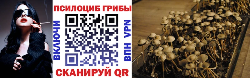 Галлюциногенные грибы мицелий  Судогда 