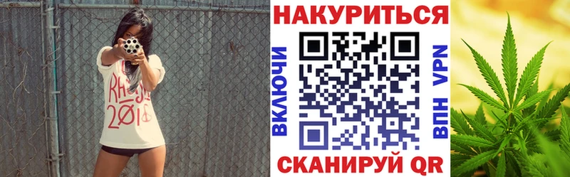Бошки Шишки план Судогда